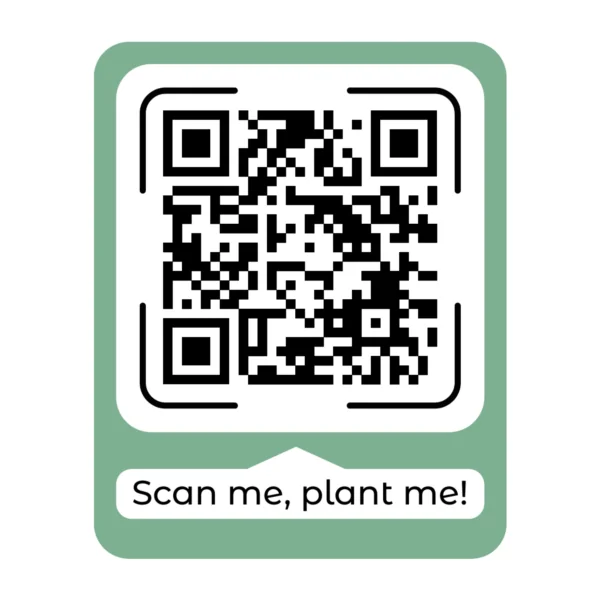 Black QR code with green border