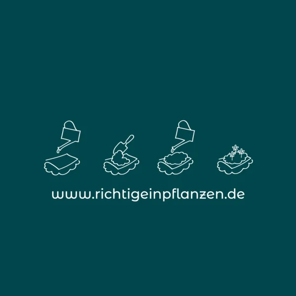 White planting instructions