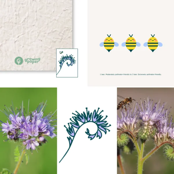 120 g/m² Phacelia