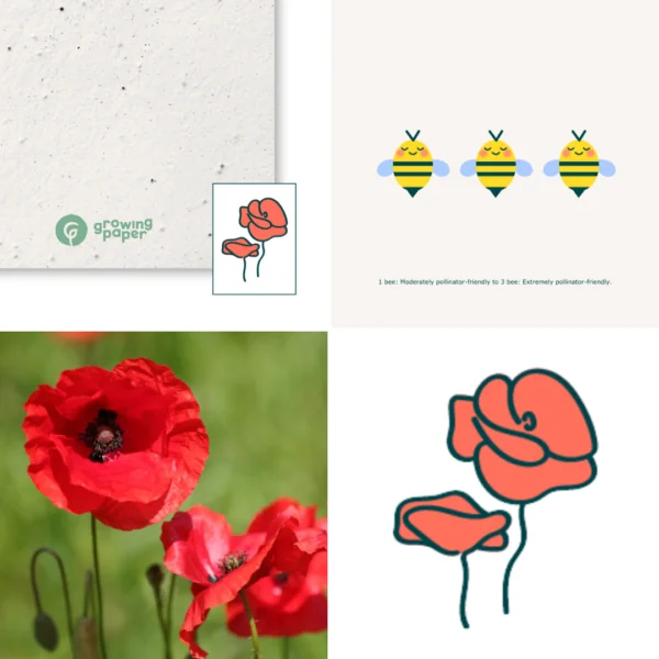 250 g/m² Klatschmohn