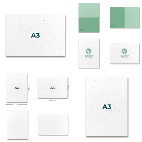 A3