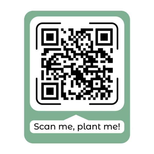 QR 3